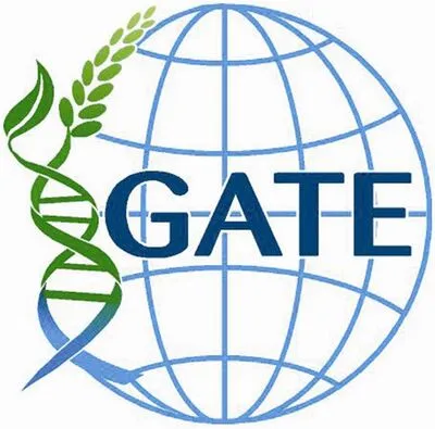 IGI logo